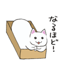 箱入りねこさんの日常スタンプ（個別スタンプ：34）