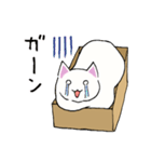 箱入りねこさんの日常スタンプ（個別スタンプ：35）