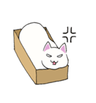 箱入りねこさんの日常スタンプ（個別スタンプ：36）