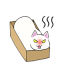 箱入りねこさんの日常スタンプ（個別スタンプ：37）