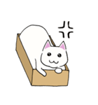 箱入りねこさんの日常スタンプ（個別スタンプ：38）