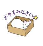 箱入りねこさんの日常スタンプ（個別スタンプ：39）