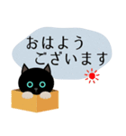 まんまる黒猫の日常会話（個別スタンプ：1）