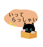 まんまる黒猫の日常会話（個別スタンプ：5）