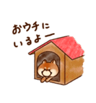 柴犬サスケの日常（個別スタンプ：20）