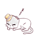 麦わらにゃんこの文字なしスタンプ（個別スタンプ：10）