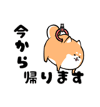 ぷるぷる動く！わんこ柴犬（個別スタンプ：11）