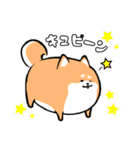 わんこ柴犬（個別スタンプ：17）