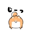 わんこ柴犬（個別スタンプ：18）