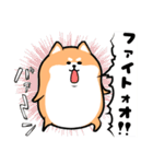 わんこ柴犬（個別スタンプ：36）