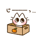 ねこのしろみさん。（個別スタンプ：13）