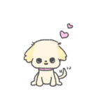 マルペキのぷくちゃん（個別スタンプ：1）