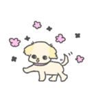 マルペキのぷくちゃん（個別スタンプ：2）