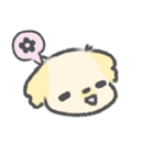 マルペキのぷくちゃん（個別スタンプ：14）