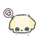 マルペキのぷくちゃん（個別スタンプ：20）