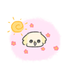 マルペキのぷくちゃん（個別スタンプ：21）