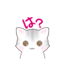 サバトラねこのスタンプ（個別スタンプ：11）