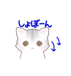 サバトラねこのスタンプ（個別スタンプ：12）