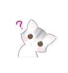 サバトラねこのスタンプ（個別スタンプ：13）