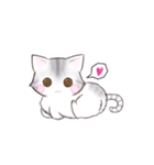 サバトラねこのスタンプ（個別スタンプ：14）