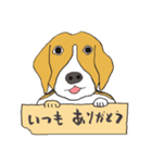 021 ビーグル犬＋褒め言葉（個別スタンプ：1）