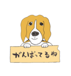 021 ビーグル犬＋褒め言葉（個別スタンプ：4）