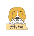 021 ビーグル犬＋褒め言葉（個別スタンプ：6）