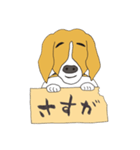 021 ビーグル犬＋褒め言葉（個別スタンプ：7）