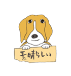 021 ビーグル犬＋褒め言葉（個別スタンプ：8）