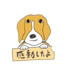 021 ビーグル犬＋褒め言葉（個別スタンプ：10）