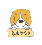 021 ビーグル犬＋褒め言葉（個別スタンプ：16）