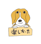 021 ビーグル犬＋褒め言葉（個別スタンプ：17）