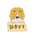 021 ビーグル犬＋褒め言葉（個別スタンプ：19）