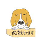 021 ビーグル犬＋褒め言葉（個別スタンプ：20）