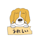 021 ビーグル犬＋褒め言葉（個別スタンプ：21）