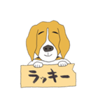 021 ビーグル犬＋褒め言葉（個別スタンプ：22）