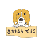 021 ビーグル犬＋褒め言葉（個別スタンプ：23）