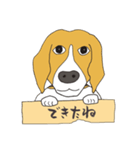 021 ビーグル犬＋褒め言葉（個別スタンプ：25）