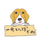 021 ビーグル犬＋褒め言葉（個別スタンプ：27）