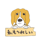 021 ビーグル犬＋褒め言葉（個別スタンプ：28）