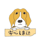 021 ビーグル犬＋褒め言葉（個別スタンプ：29）