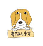 021 ビーグル犬＋褒め言葉（個別スタンプ：30）