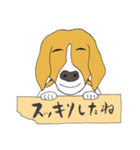 021 ビーグル犬＋褒め言葉（個別スタンプ：31）