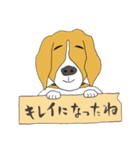 021 ビーグル犬＋褒め言葉（個別スタンプ：32）