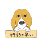 021 ビーグル犬＋褒め言葉（個別スタンプ：33）