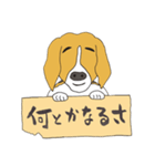 021 ビーグル犬＋褒め言葉（個別スタンプ：34）