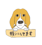 021 ビーグル犬＋褒め言葉（個別スタンプ：35）