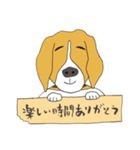 021 ビーグル犬＋褒め言葉（個別スタンプ：37）