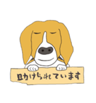 021 ビーグル犬＋褒め言葉（個別スタンプ：38）