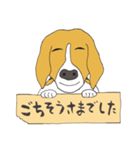 021 ビーグル犬＋褒め言葉（個別スタンプ：39）